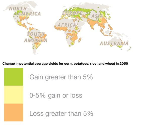 The World Produces Enough Food, So Why Are So Many Going Hungry ...