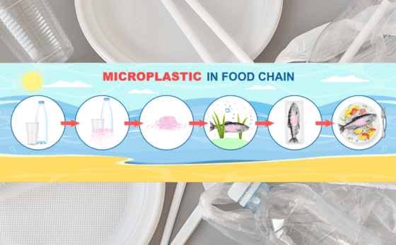 Plastic pollution: a scourge with far-reaching consequences – Richard Mills