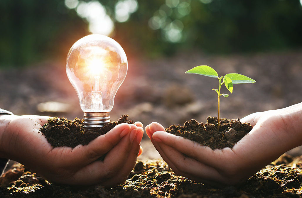 hand holding lightbulb