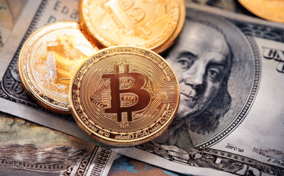 Will America’s crypto frenzy end in disaster?