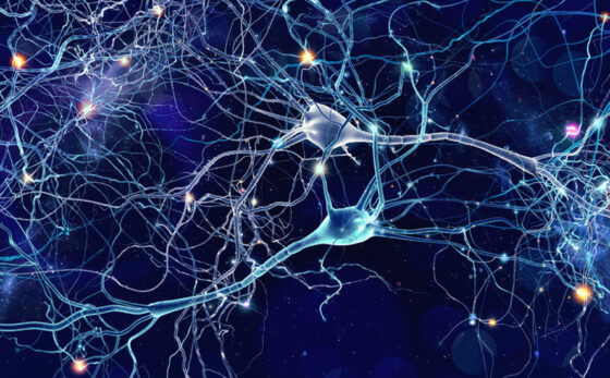 Supplement For High Blood Pressure Clears Signs of Alzheimer’s in Mice