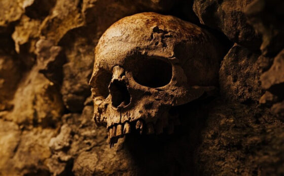 The human skull that challenges the Out of Africa theory