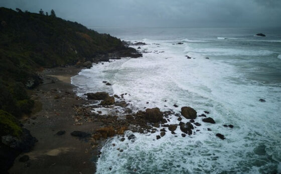 Scientists find coastal seas acidifying shockingly fast